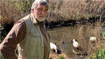 Ein neues Zuhause für Hausgänse: Waldemar Martens hat die drei „Findelkinder“ in seinen Garten am Bürgerpark aufgenommen. 