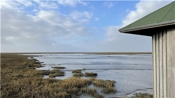 Ein Paradies für Vogelkundler, Naturliebhaber und Ruhesuchende: der Langwarder Groden.