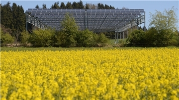 Ein Pilotprojekt in Baden-Württemberg erprobt, was möglich ist. Die Photovoltaikmodule sind in fünf Meter Höhe installiert. Auf dem Feld darunter wird Getreide und Gemüse angebaut.
