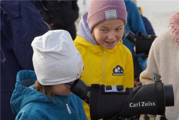 Ein Programmpunkt des Nationalparkhauses Wurster Nordseeküste zu den 17. Zugvogeltagen: Kinder erklären Kindern das Zugvogel-Phänomen (16. Oktober, 10 Uhr, NP-Haus Dorum-Neufeld).
