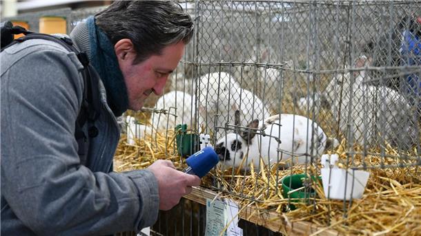 Nutztiere mit Kuschelfaktor - Kaninchen-Schau in Kassel Ein Radioreporter versucht auf der Bundeskaninchenschau einem Zwergschecken einen O-Ton zu entlocken.
