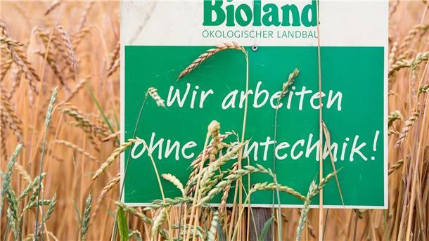 Ein Schild mit der Aufschrift „Bioland - Wir arbeiten ohne Gentechnik“ in einem Dinkelfeld.