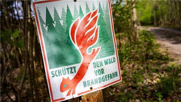 Ministerium und Feuerwehr informieren über Waldbrandgefahr Ein Schild mit der Aufschrift „Schütz den Wald vor Brandgefahr“ hängt in einem Wald an einem Waldweg.