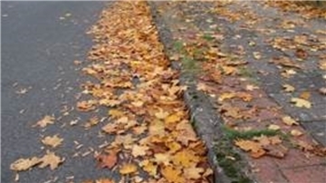 Ein schöner Anblick vor allem für Kinder: Doch das Herbstlaub kann für Fußgänger und Fahrradfahrer zu einer Gefahr werden.