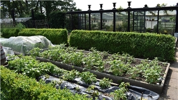 Ein selbst gebautes Gewächshaus, niedrige Hecken, um den Wind abzuhalten und umfasste Beete im Garten von Rolf-Walter Schwarze versorgen die Familie das ganze Jahr über mit Gemüse.