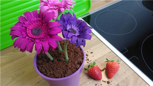 Ein spezieller Muttertagstipp: Straciatella-Dessert im Blumentopf nach Annika Eilers.
