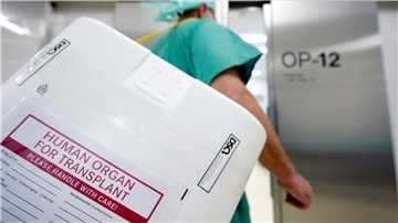 Ein Styropor-Behälter zum Transport von zur Transplantation vorgesehenen Organen am Eingang eines OP-Saales.