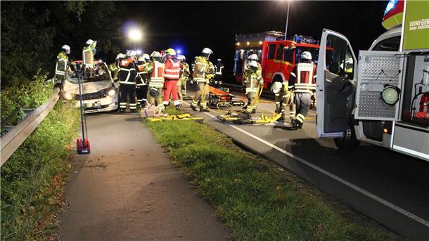 Taxi stößt mit Pferden zusammen - Fahrer und Tiere sterben Ein Taxifahrer und zwei Pferde starben.