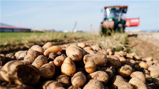 Landwirtschaftskammer: Klimawandel-Effekte prägten Ernte Ein Traktor fährt bei der Ernte von Kartoffeln über einen Acker.
