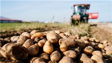 Landwirtschaftskammer: Klimawandel-Effekte prägten Ernte Ein Traktor fährt bei der Ernte von Kartoffeln über einen Acker.