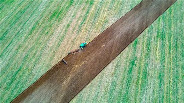 Landwirte leiden unter Preisdruck und schlechten Böden Ein Traktor zieht Pflug und Egge über ein abgeerntetes Feld.
