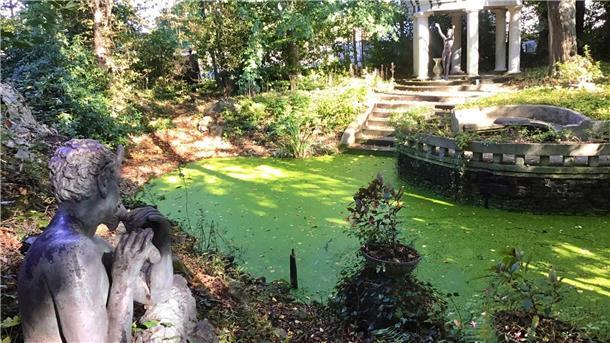 Ein verträumter Ort in Leherheide: In Thieles Garten darf die Natur weitgehend alleine regieren, das Gartenbauamt greift nur schonend pflegerisch ein.