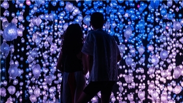 Ein verwunschener Wald aus lauter bunten Lichtern: Der „Pixelwald Wisera“ bereichert die ständige Sammlung der Kunsthalle Bremen.