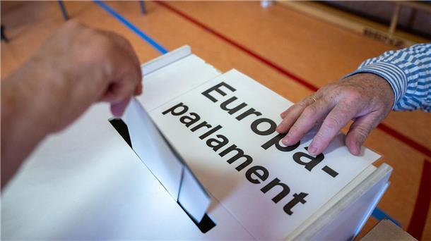 Niedersachsen stellt neun Abgeordnete für EU-Parlament Ein Wahlberechtigter wirft in einem Wahllokal seinen Stimmzettel in eine Wahlurne mit der Aufschrift „Europaparlament“.