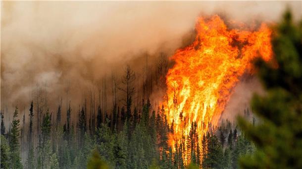 Bericht: Zerstörung von Wäldern weltweit hat 2022 zugenommen Ein Waldbrand wütet nahe Fort St. John in der kanadischen Provinz British Columbia.