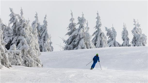 Skisaison startet hoffnungsvoll mit viel Neuschnee Ein Wintersportler fährt auf Skiern eine Piste hinunter.
