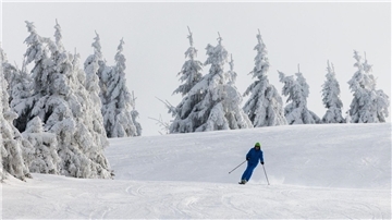 Ein Wintersportler fährt auf Skiern eine Piste hinunter.