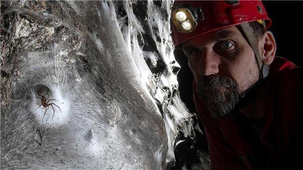 Ein Wissenschaftler vor dem riesigen Spinnennetz