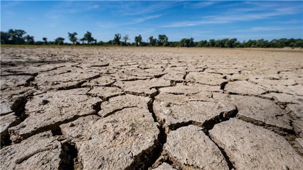 Klimakonferenz in Dubai - Was auf dem Spiel steht Eine ausgetrocknete Sandbank an der Niedrigwasser führenden Donau.