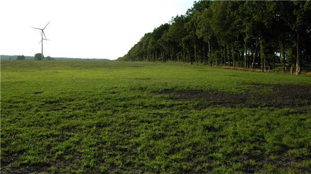 Eine der ausgewählten Potenzialflächen für Freiflächen-Photovoltaik am Selsinger Ortsrand nahe der B 71 und der Gemarkung Deinstedt