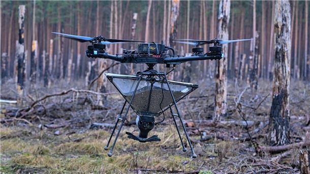 Neuer Wald aus der Luft? Drohne wirft Baumsamen ab Eine Drohne trägt einen Behälter mit Saatgut, das als Pellets präpariert worden ist.
