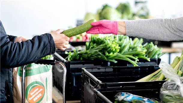 Logistik der Tafeln soll mit neuem Zentrum verbessert werden Eine ehrenamtliche Mitarbeiter der „Hannöverschen Tafel“ übergibt eine Gurke.