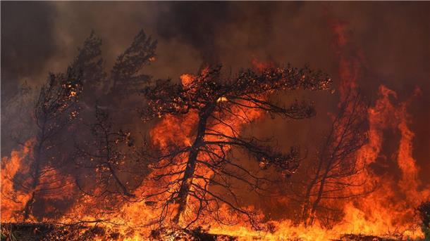 Brände auf Rhodos: Wind erschwert Löscharbeiten Eine Feuerwand: Nahe der Ortschaft Vati im Süden der Insel Rhodos steht ein Wald in Flammen.