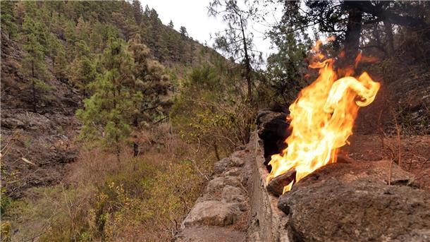 Eine Flamme lodert in einem Waldgebiet in den Bergen nahe der Gemeinde Arafo.