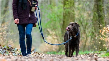Eine Frau geht mit ihrem Hund spazieren. In der Gemeinde Wilstedt beschäftigt sich ein Arbeitskreis mit dem Thema Wildschutz.