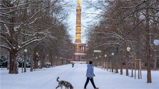 Eine Frau geht mit ihrem Hund vor der Kulisse der Siegessäule im verschneiten Tiergarten in Berlin spazieren.