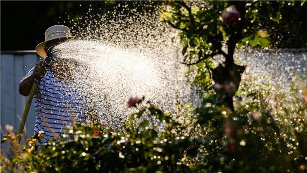 Klimawandel beeinflusst künftig erheblich Grundwasserstände Eine Frau gießt mit Wasser aus einer Grundwasserpumpe ein Blumenbeet.