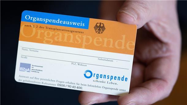 Zahl der Organspenden 2022 in Niedersachsen gesunken Eine Frau hält einen Organspendeausweis in ihren Händen.