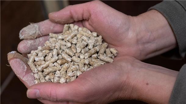 Run auf Kaminöfen und Pelletheizungen vorbei Eine Frau hält Holzpellets in den Händen.