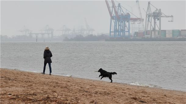 Ruhiges Wetter erwartet - in Hochlagen viel Sonne Eine Frau mit Hund geht bei bedecktem Himmel und leichtem Nieselregen am Elbstrand in Hamburg spazieren.