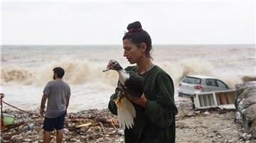 Eine Frau rettet nach dem schweren Sturm einen Vogel am Strand des Dorfes Paliokastro auf Kreta.