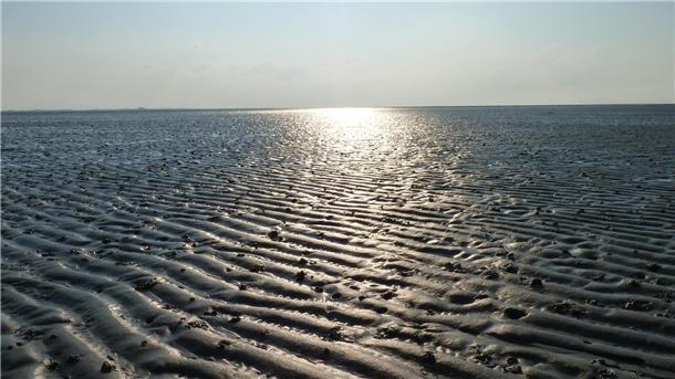 LEB bietet für künftige Wattführer wieder neue Vorbereitungskurse an Eine Führung durch das Wattenmeer ist für viele Touristen ein Höhepunkt ihres Urlaubs an der Nordseeküste.