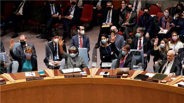 Eine gegen Russlands Einmarsch in die Ukraine gerichtete Resolution war im UN-Sicherheitsrat gescheitert. Zu denen, die sich bei der Abstimmung enthalten hatten, gehörten auch die Emirate. Wird das jetzt zum Nachteil für das Unternehmen aus Abu Dhabi, das die Lloyd Werft kaufen will?