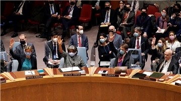 Eine gegen Russlands Einmarsch in die Ukraine gerichtete Resolution war im UN-Sicherheitsrat gescheitert. Zu denen, die sich bei der Abstimmung enthalten hatten, gehörten auch die Emirate. Wird das jetzt zum Nachteil für das Unternehmen aus Abu Dhabi, das die Lloyd Werft kaufen will?
