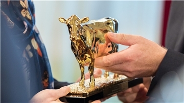 Eine goldene Kuh-Statue wird bei der Verleihung überreicht.