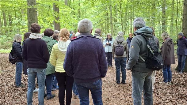 Eine Gruppe des Wandervereins Vörderland war zu Gast im Wasserwerkswald in Bremerhaven. 