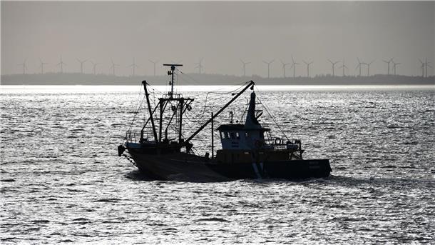Forscher fordern Neudefinition nachhaltiger Fischerei Eine Gruppe von 30 Ozeanforscherinnen und -forschern fordert eine Neudefinition nachhaltiger Fischerei.