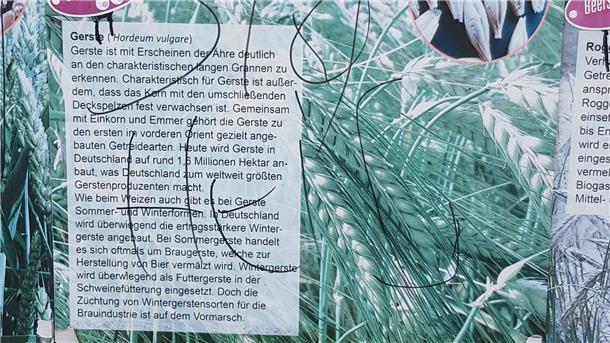 Eine Hinterlassenschaft, die Wulf Quassowsky schockiert: Auf dieser Informationstafel des „Beerster Padd“ stand „Sieg Heil“.