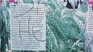 Eine Hinterlassenschaft, die Wulf Quassowsky schockiert: Auf dieser Informationstafel des „Beerster Padd“ stand „Sieg Heil“.
