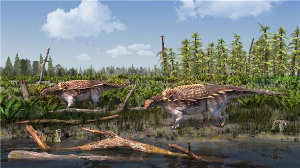 Eine Illustration der Vectipelta barretti. Laut Forschenden könnten sich die Dinos in der frühen Kreidezeit vor rund 140 Millionen Jahren frei von Asien nach Europa bewegt haben.