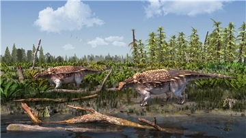 Eine Illustration der Vectipelta barretti. Laut Forschenden könnten sich die Dinos in der frühen Kreidezeit vor rund 140 Millionen Jahren frei von Asien nach Europa bewegt haben.