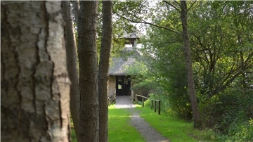 Eine kleine Allee führt zum Aussichtsturm am Balksee.