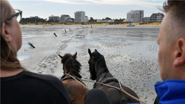 Eine Kutsche fährt über das Watt zwischen Cuxhaven Duhnen und Neuwerk. Nachdem die alte Strecke unpassierbar wurde, fand man einen neuen Weg durch das Watt zur Insel.