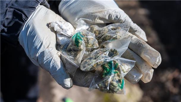 Eine Polizistin hält kleine Tütchen mit Marihuana in den Händen.