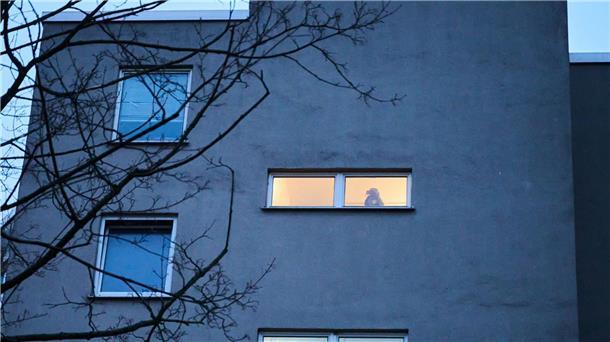 Bislang keine Einlassung von Ex-RAF-Terroristin Klette Eine Polizistin steht in der Wohnung, in der Daniela Klette gelebt haben soll.