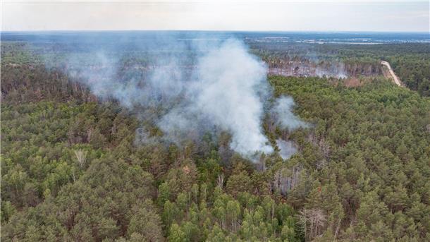 Waldbrand bei Jüterbog: „Wir lassen es kontrolliert brennen“ Eine Rauchwolke steht beim Waldbrand im Naturschutzgebiet bei Jüterbog über den Bäumen.